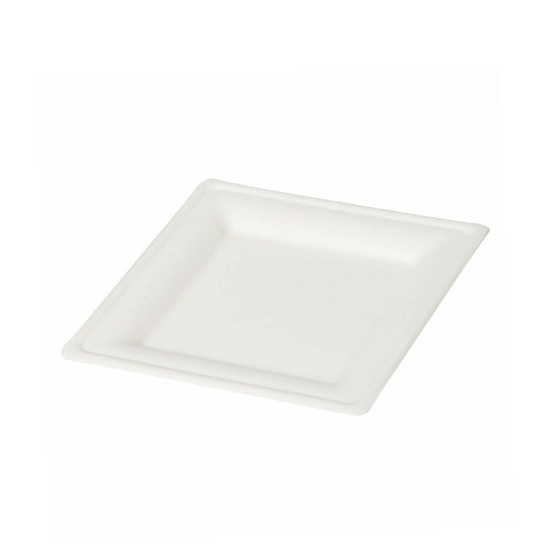 Green Platter 8 inch Square Plate (made from Sugarcane Bagasse) UK