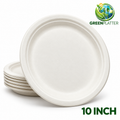 10 Inch Round Compostable Bagasse Dinner Plates