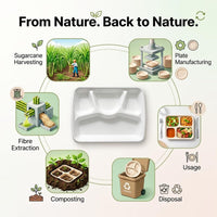 Diagram showing sugarcane processing, tray manufacture, use and composting