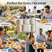 Six-compartment tray shown with wedding, office, picnic and party meal scenes