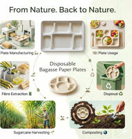 Diagram showing sugarcane processing, six-compartment tray manufacture, use and composting